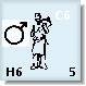 Company 6